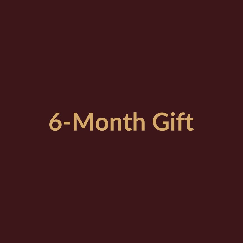 6-Month Aura Circle Gift — most popular